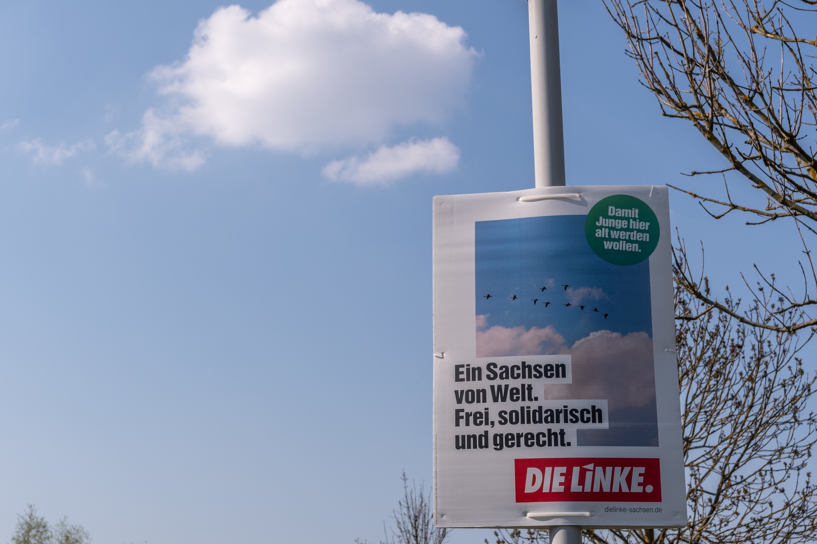 Zu sehen ist ein Wahlplakat mit dem Text: "Ein Sachsen von Welt. Frei, solidarisch und gerecht." Das Plakat hängt an einem Mast und im Hintergrund sind Wolken und auch blauer Himmel zu sehen, wie auch auf dem Plakat selbst.