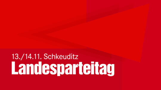 Banner: 13./14.11. Schkeuditz Landesparteitag