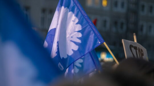 Person mit blauer Fahne und weißer Friedenstaube auf Website