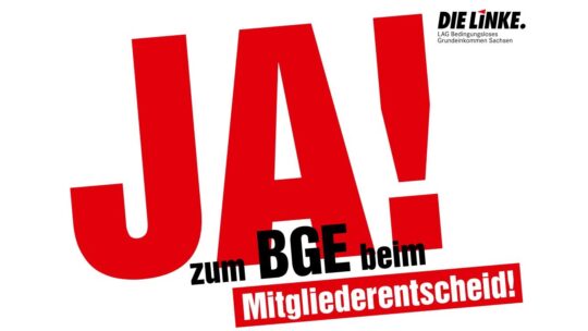 Ja_zum_BGE-540x304
