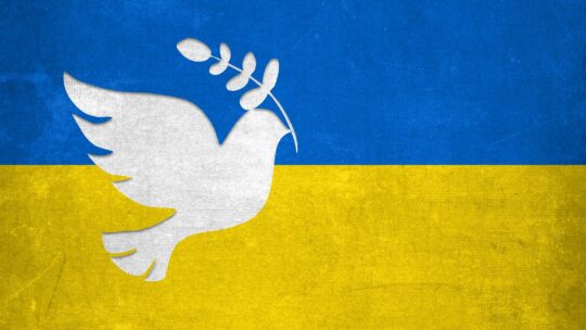 Weiße Friedenstaube auf blau-gelber ukrainischer Flagge
